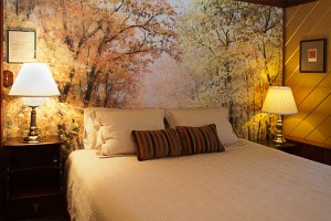Country Sunshine Bed & Breakfast Golden Oaks Room