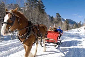 Sleigh Rides at Rapp Corral