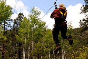 Tree Top Soaring