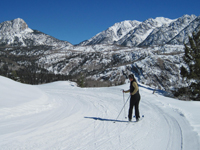 Country Sunshine Bed & Breakfast Winter Activities