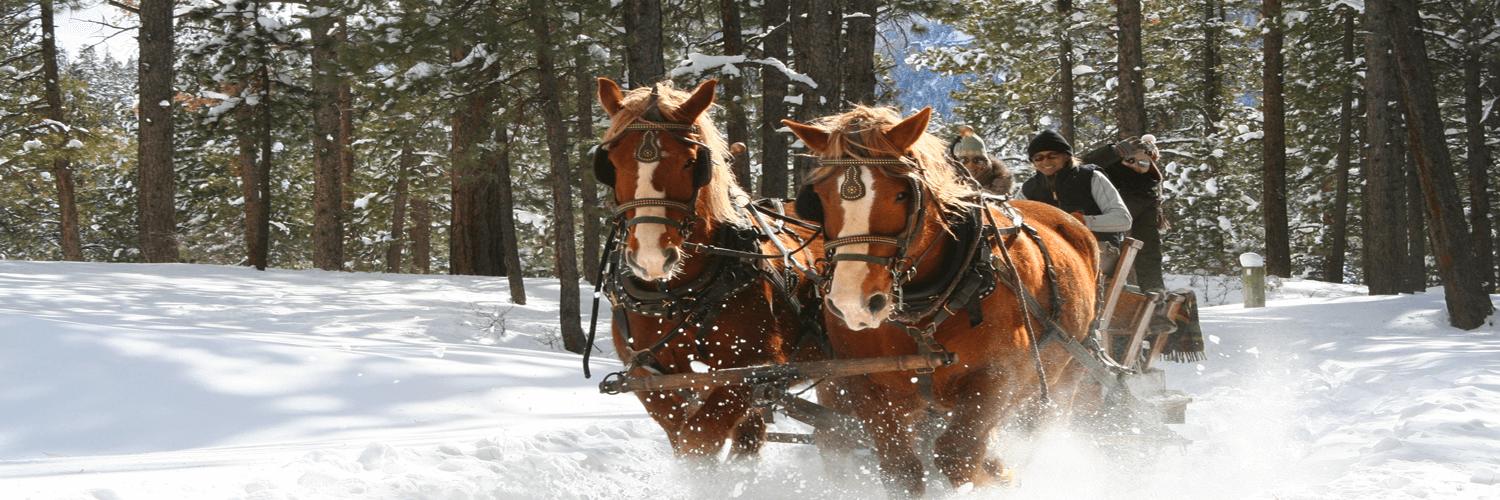 Country Sunshine Bed & Breakfast, Durango, CO